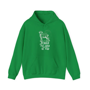 Lamb of God